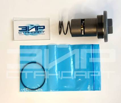 2901146400 Термостат 60 гр — фото-1070_1